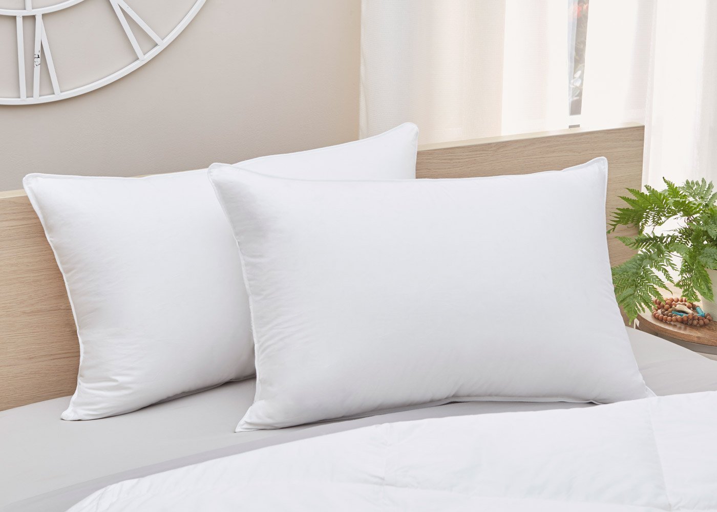 100% Goose Down Pillow with Cotton Cover