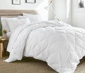 Microfiber All-Season Hypoallergenic Down Alternative Comforter