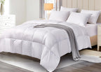 All Season White Down Fiber Comforter Light to Medium Warmth