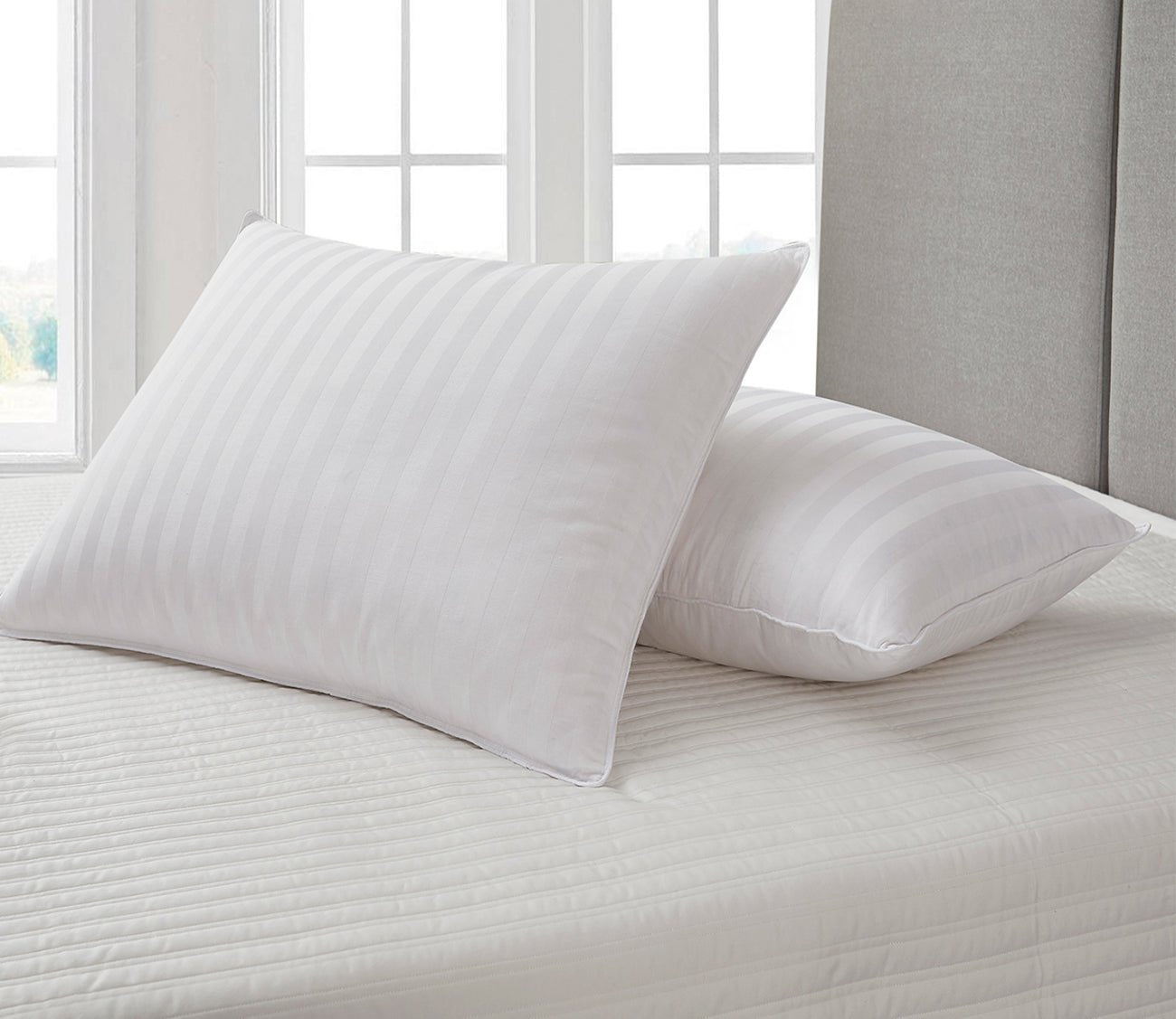 Blue Ridge Home Supreme Damask Stripe Soft White Down Pillow