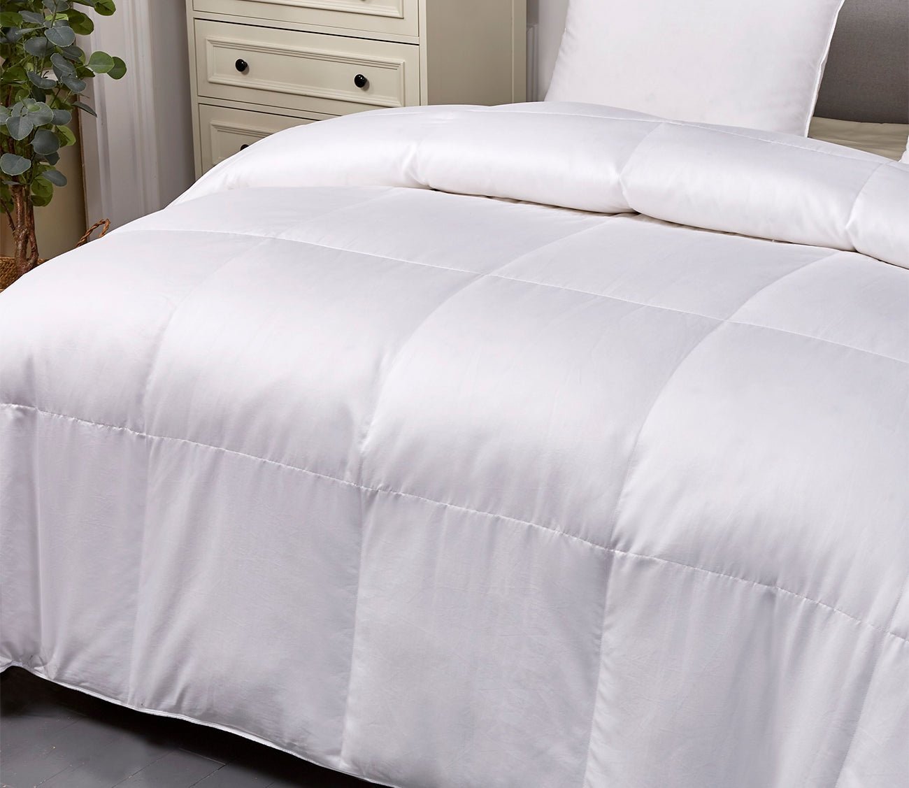 Blue Ridge Pima Cotton European White Goose Down Comforter