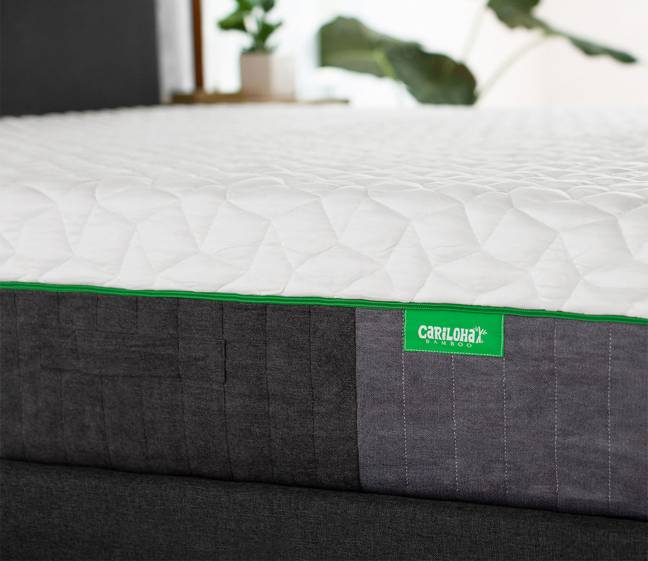 Resort Bamboo Mattress
