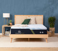 F15GL Firm Eco-Friendly Latex Memory Foam Mattress