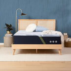 F30LTX Plush Eco-Friendly Latex Memory Foam Mattress