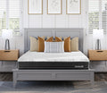 Franklin 10.5'' Foam Medium Plush Hybrid Mattress