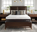 Plymouth 12.5'' Gel Memory Foam Medium Plush Hybrid Mattress