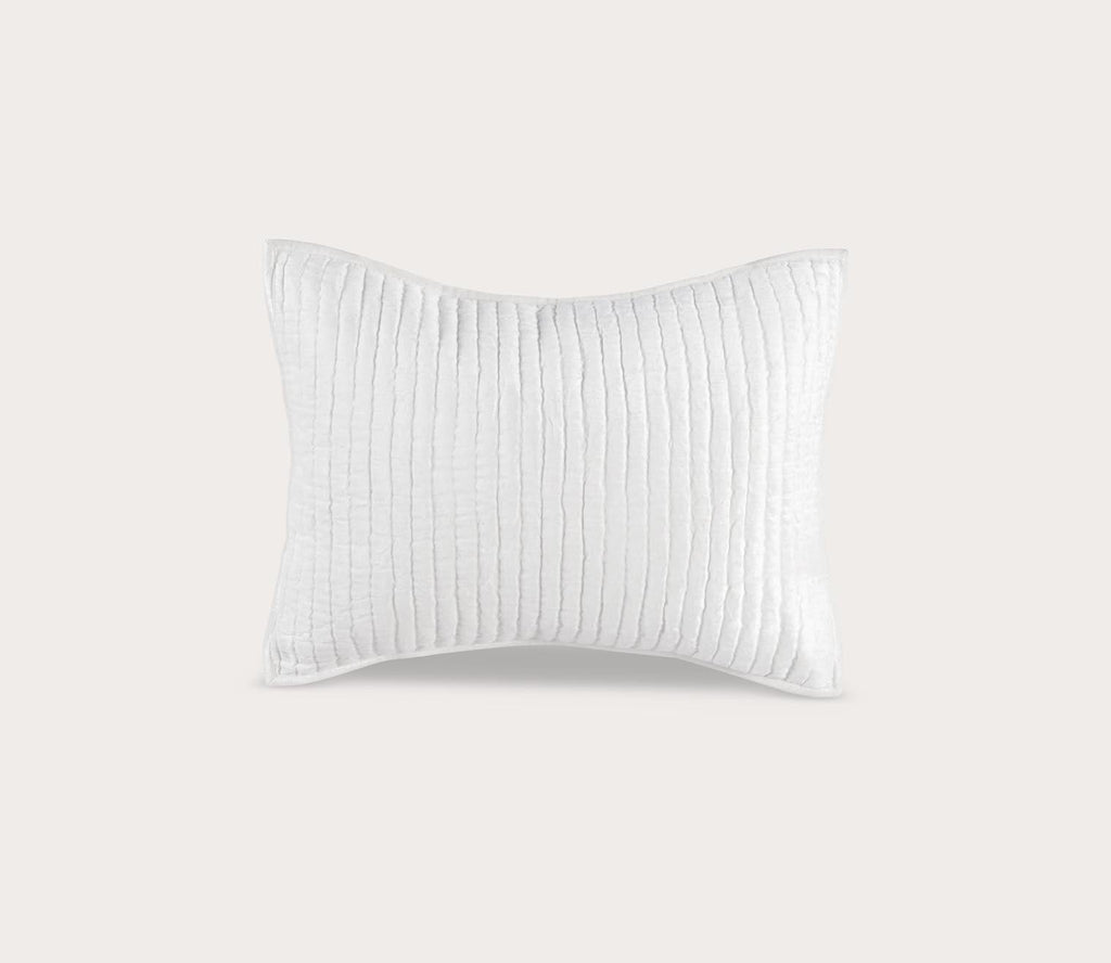 Bari Velvet Pillow Sham