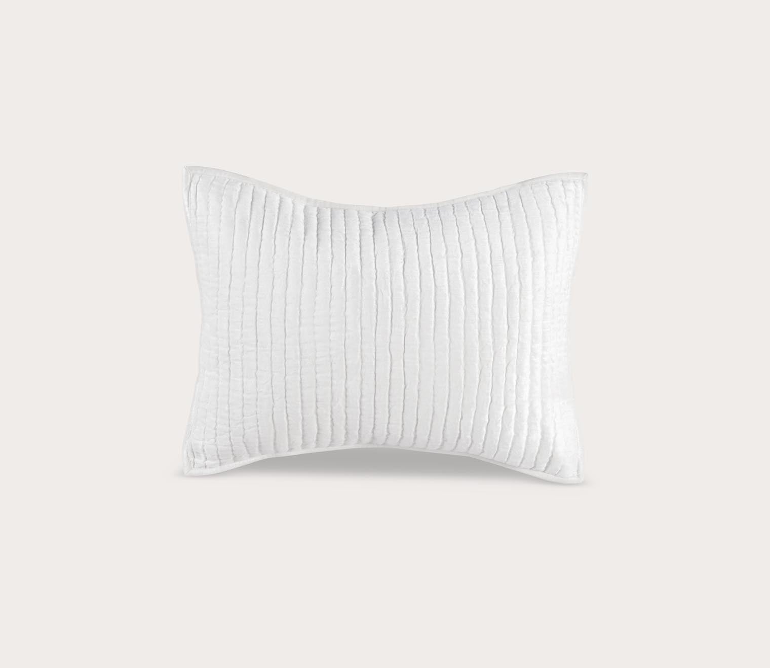 Bari Velvet Pillow Sham
