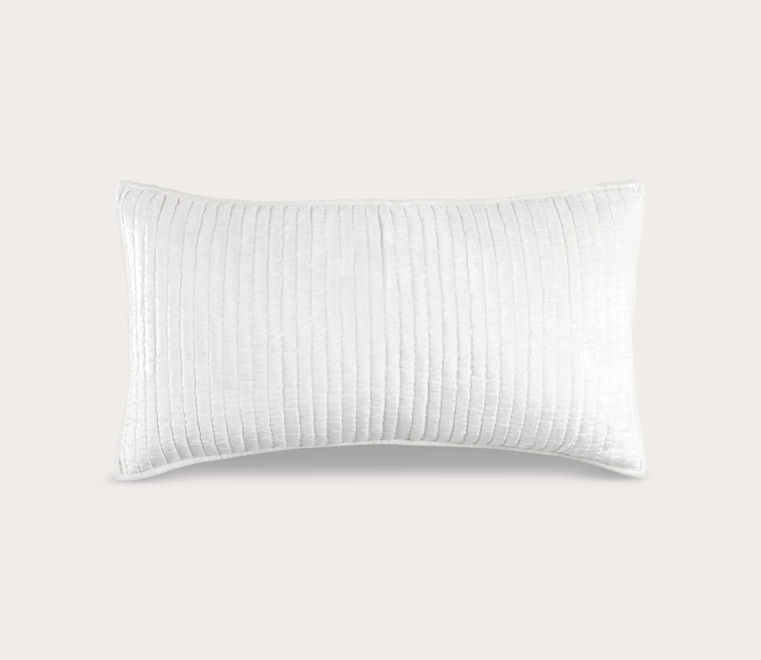 Bari Velvet Pillow Sham
